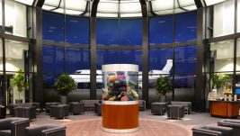 [KOLUMNA ALENA ŠĆURICA] Potpuno nova vrsta avio-kompanije