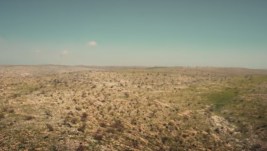 [VIDEO] Srpski letač prizemljen blizu granice sa Sirijom, prvi snimci evakuacije za Beograd avionom Turkish Airlinesa