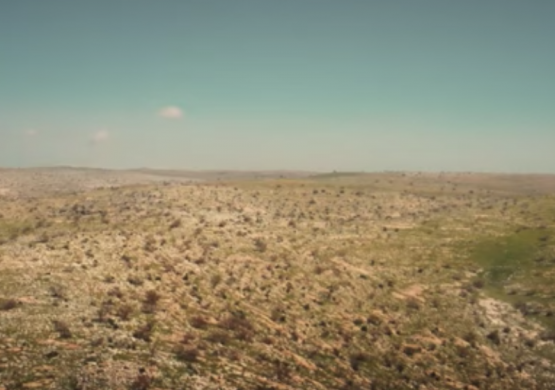 [VIDEO] Srpski letač prizemljen blizu granice sa Sirijom, prvi snimci evakuacije za Beograd avionom Turkish Airlinesa