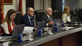 Crna Gora zvanično izdvojila 21 milion evra za Montenegro airlines