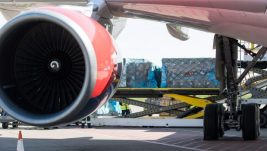 Kako se voće ili burek prevoze avionom?