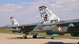 60 godina “Tigrova“