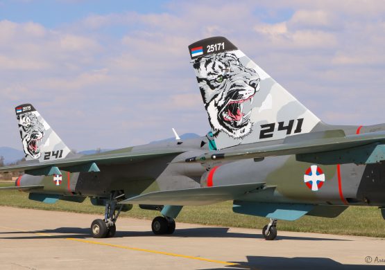 60 godina “Tigrova“